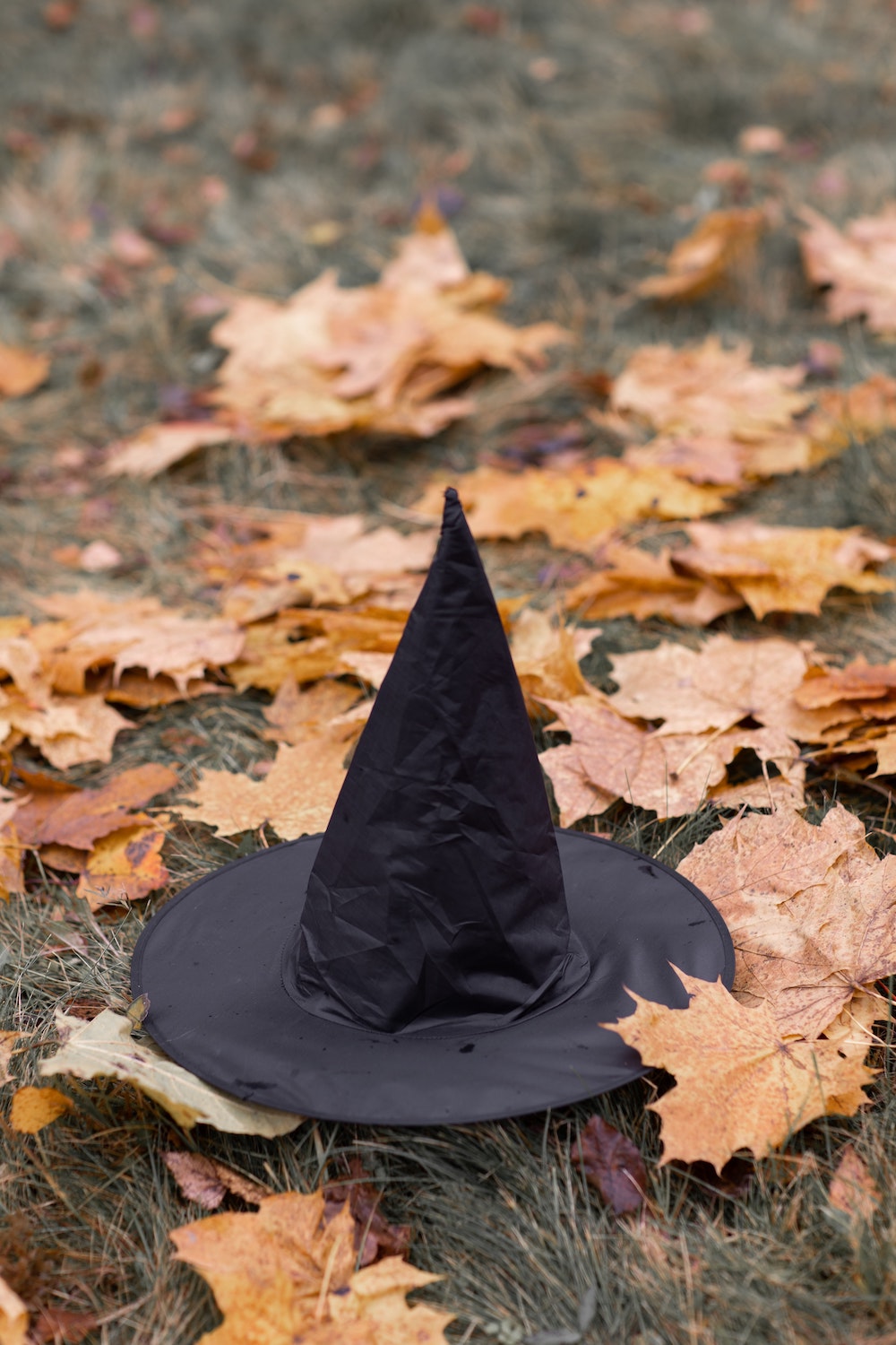 A black witch hat and some dried leaves